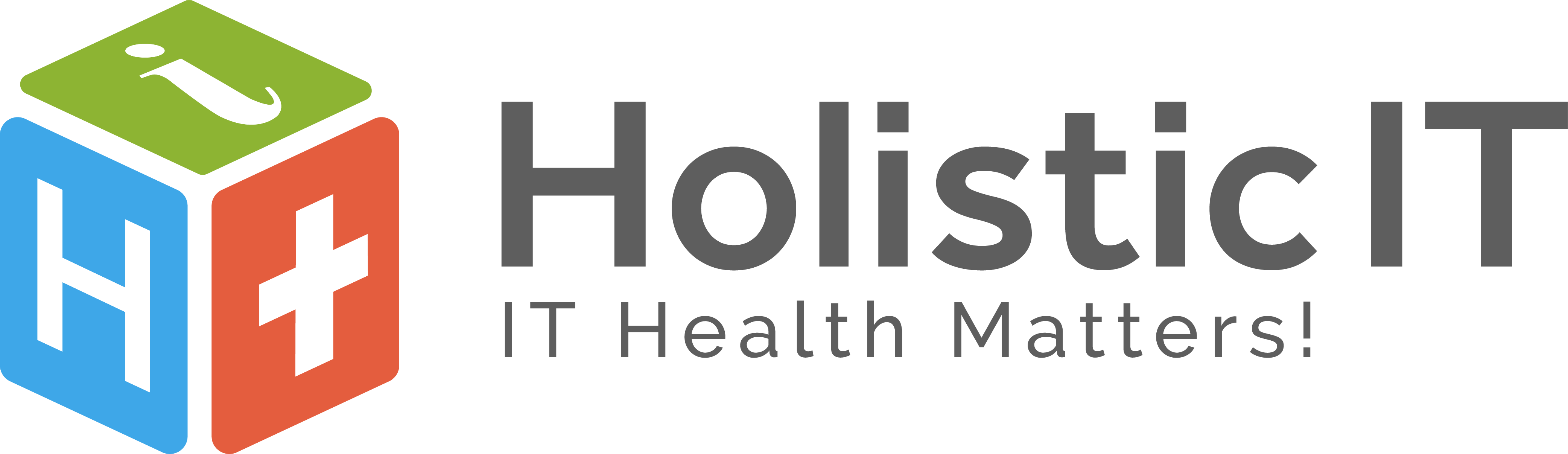 Holistic IT Logo